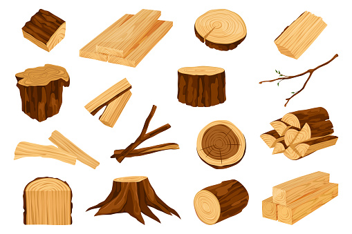 Raw wooden materials, vector elements or clipart set. Cutted tree trunk, lumber branch, log and twigs, round stump, boards. Hardwood oak or pine. Logging or sawmill, woodworking industry.
