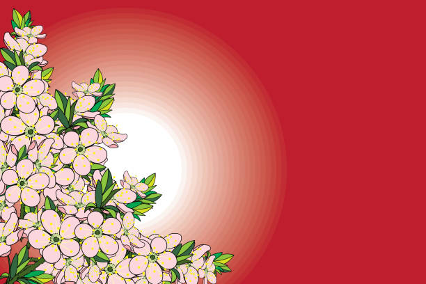 istock Illustration of the cherry bossoms flower bouquet with circle on red background. 1445211737