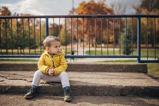 Cute little boy sitting on a small bridge on autumn day in park.