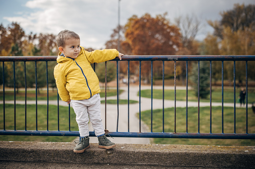 Cute little boy standing on a small bridge on autumn day in park.