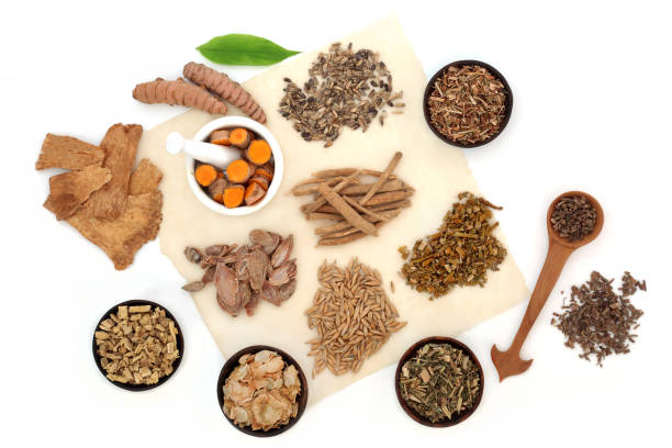 istock Nervine Food Selection for Relaxing the Nervous System 1445215825