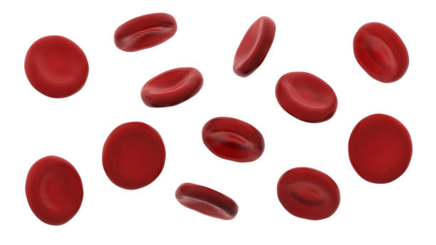 istock Blood cells isolated on white background. 1445215975