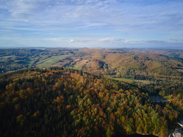 istock Frone flight over mountain landscape with autumn forest 1445220815
