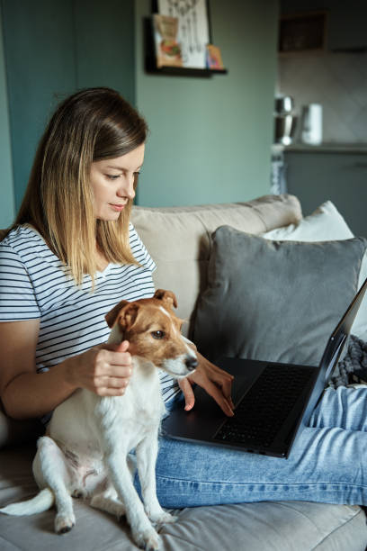istock Woman working from home with pet dog, using laptop 1445221536