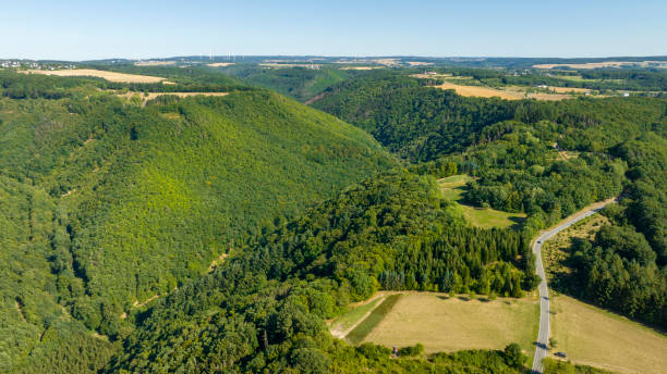istock Forest and hills - aerial view 1445223058