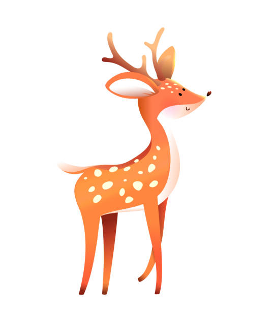 маленький олень или детеныш лани животное для детей зоопарк - stag deer doe cartoon stock illustrations