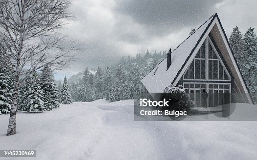 istock Fairy Winter Landscape 1445230469