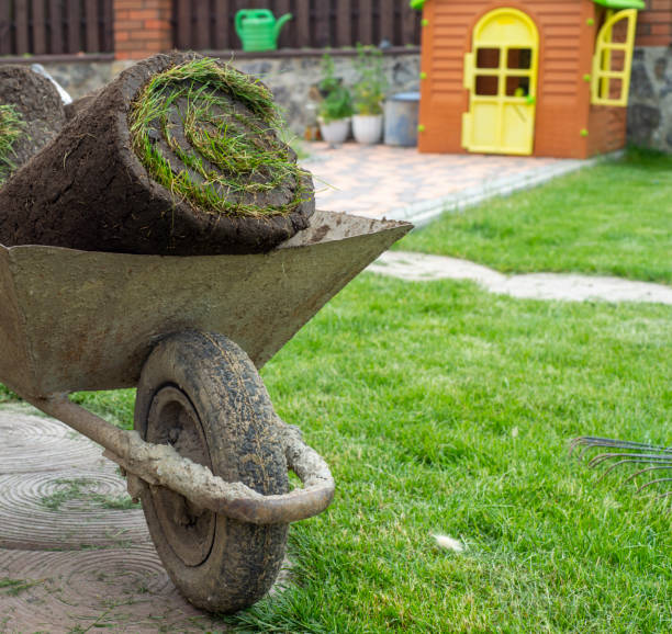 istock Landscape Gardener Laying Turf For New Lawn 1445230708