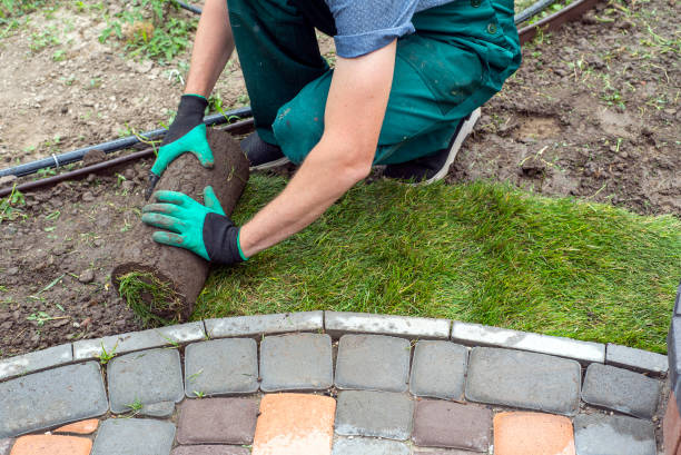 istock Landscape Gardener Laying Turf For New Lawn 1445230861