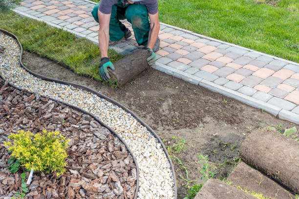 istock Gardener applying turf rolls in the backyard 1445231176