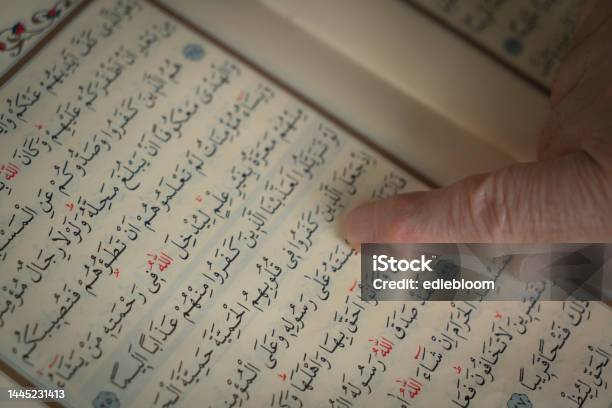 Muslim Woman Who Is Reading Holy Quran Stock Photo - Download Image Now - Adult, Adults Only, Allah