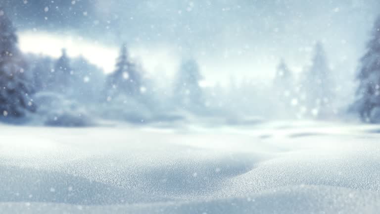 Winter background Christmas and new year holiday concept. Background of snow and frost with free space for your decoration.