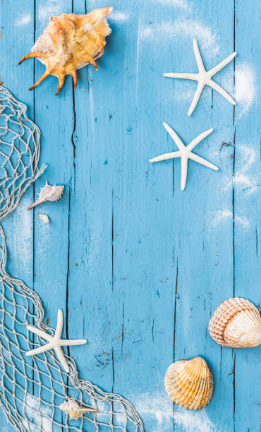 istock Seashells and starfish on a blue rustic wooden background. 1445233119