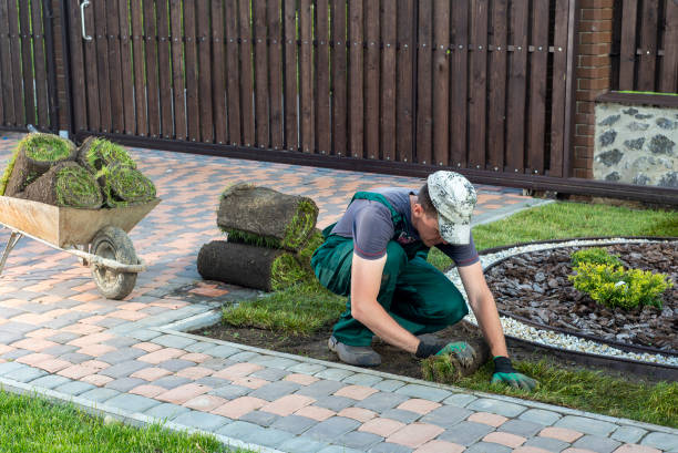 istock Landscape Gardener Laying Turf For New Lawn 1445233433