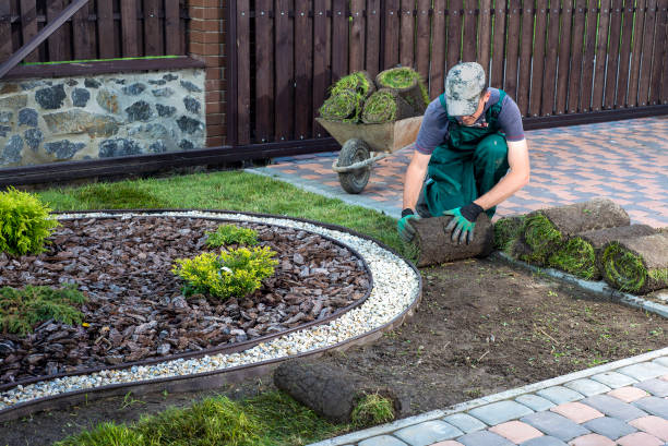 istock Man laying grass turf rolls for new garden lawn 1445233434