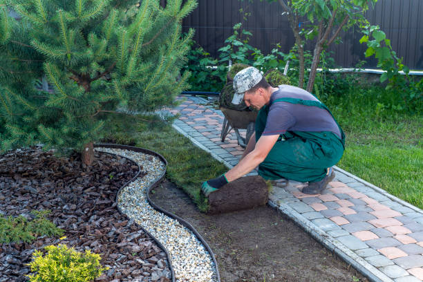 istock Landscape Gardener Laying Turf For New Lawn 1445233437