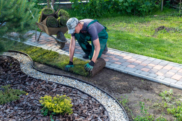 istock Man laying grass turf rolls for new garden lawn 1445233439