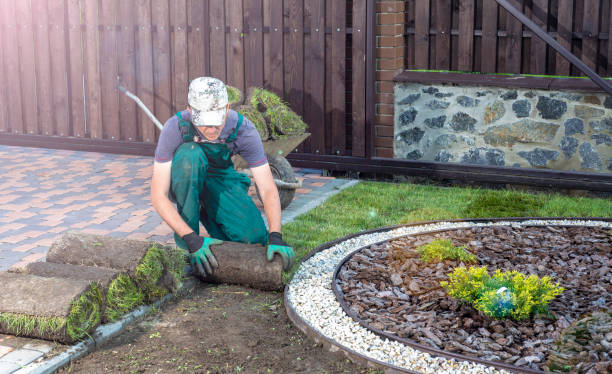 istock Landscape Gardener Laying Turf For New Lawn 1445233440