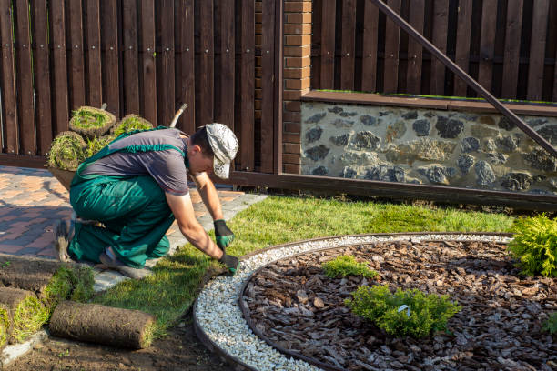 istock Landscape Gardener Laying Turf For New Lawn 1445233442