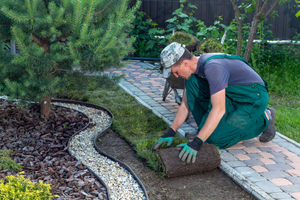 新しい芝生のためのランドスケープガーデナー敷設芝 - gardening ストックフォトと画像
