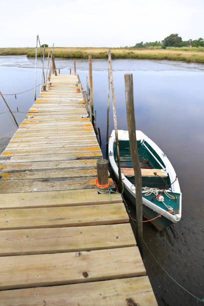 istock Boat docked in a port with wooden walkway 1445233699