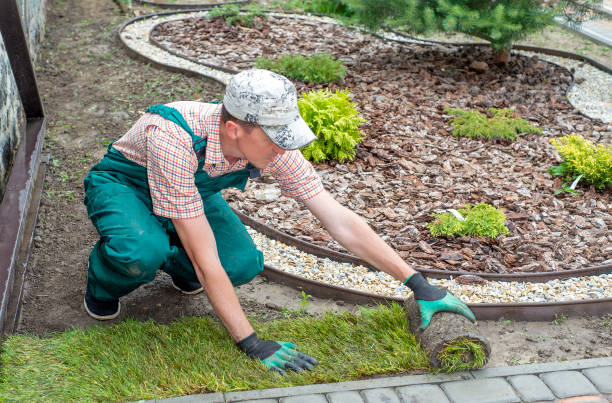istock Landscape Gardener Laying Turf For New Lawn 1445236758