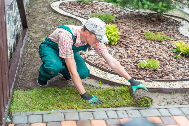 istock Gardener applying turf rolls in the backyard 1445236804
