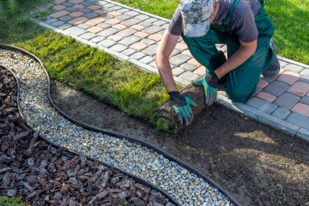 istock Gardener applying turf rolls in the backyard 1445236838