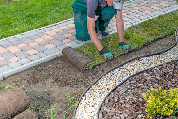 istock Man laying grass turf rolls for new garden lawn 1445236839
