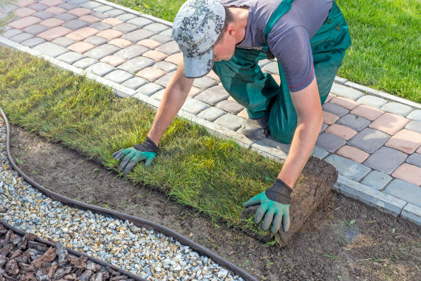 istock Landscape Gardener Laying Turf For New Lawn 1445236847