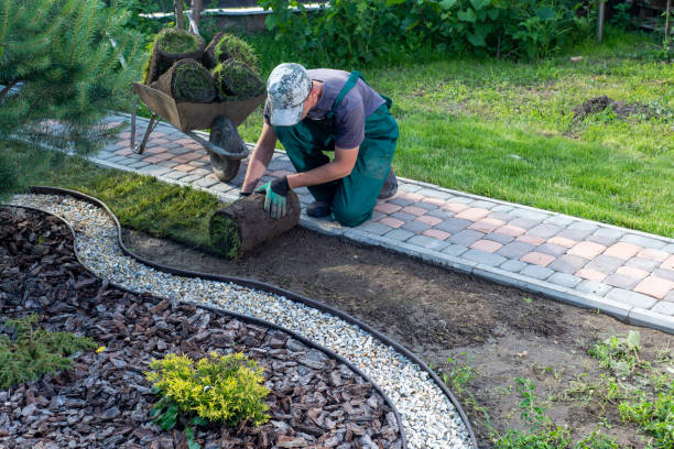 istock Landscape Gardener Laying Turf For New Lawn 1445236866