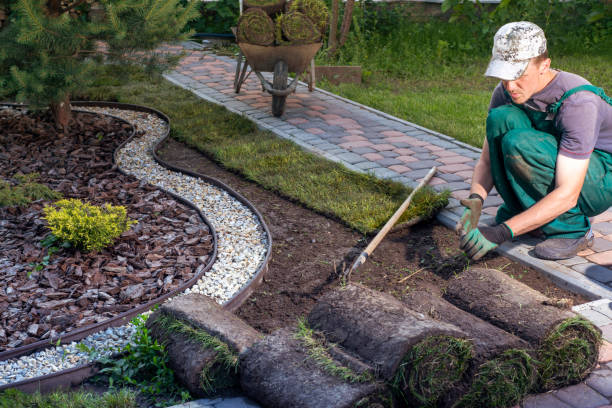istock Gardener applying turf rolls in the backyard 1445236872