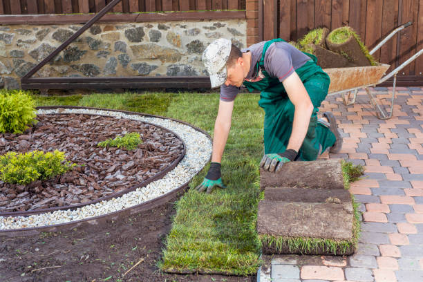 istock Gardener applying turf rolls in the backyard 1445236884