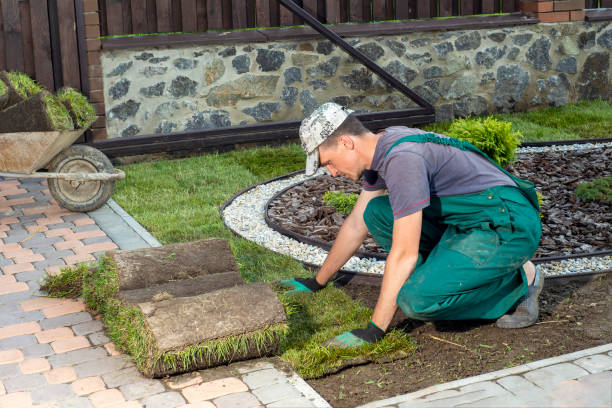 istock Man laying grass turf rolls for new garden lawn 1445237263