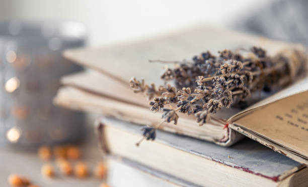 istock Cozy home composition with a stack of books on a blurred background. 1445238026
