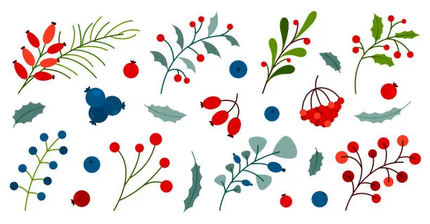 Vector illustration of Winter autumn berry plant leaf branch flat set