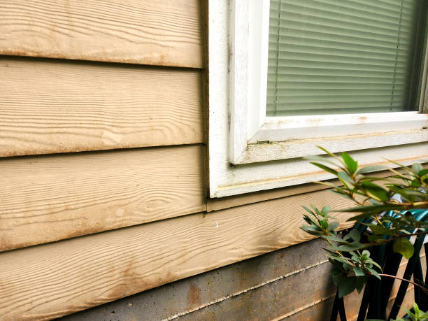 istock Outside hardy plank on home with mold. 1445239966