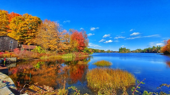 Autumn foliage on the shoreline of a lake in the north countryside of Maine