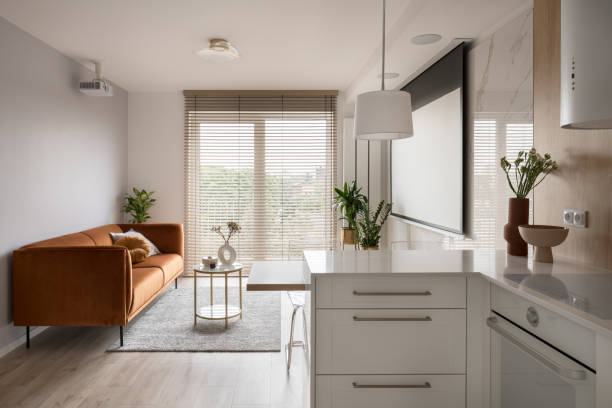 Small and elegant apartment with projector and screen