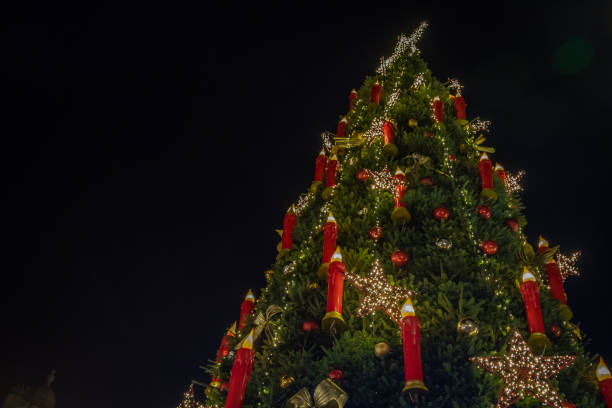 istock Large Christmas tree against a black sky looking from below 1445244794