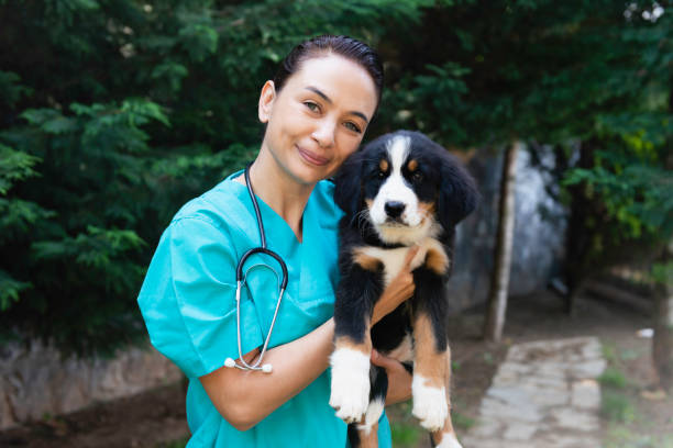istock Animal Hospital 1445246991