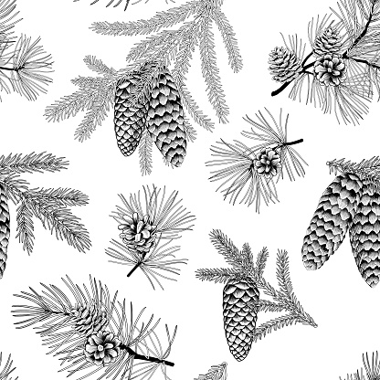 Christmas holiday seamless floral pattern with spruce, pine and cones. Winter evergreen christmas tree branches background in engraving hand-drawn line art style. Vector illustration.