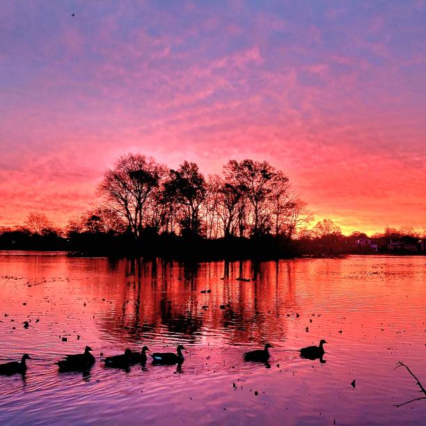 istock Red sunrise at the lake 1445256915