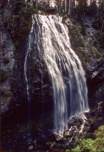 istock Mt Rainier National Park - Narada Falls Time Exposure - 1979 1445257079