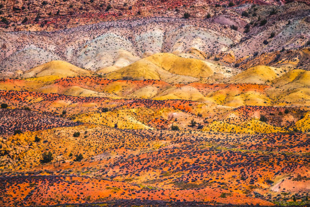 istock Painted Desert White Sand Arches National Park Moab Utah 1445258671