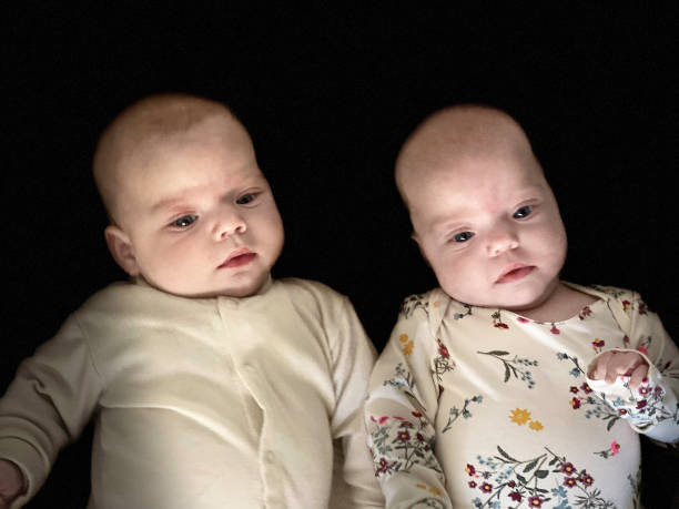 istock Twin waiting for there food 1445260932