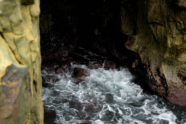 istock La Jolla Tide Pools - San Diego, California 1445264019