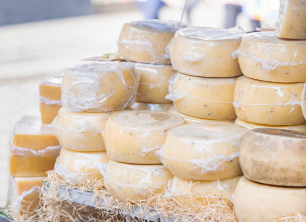 home made farmer's cheese kiosk, craft cheese product shop - farmers cheese imagens e fotografias de stock