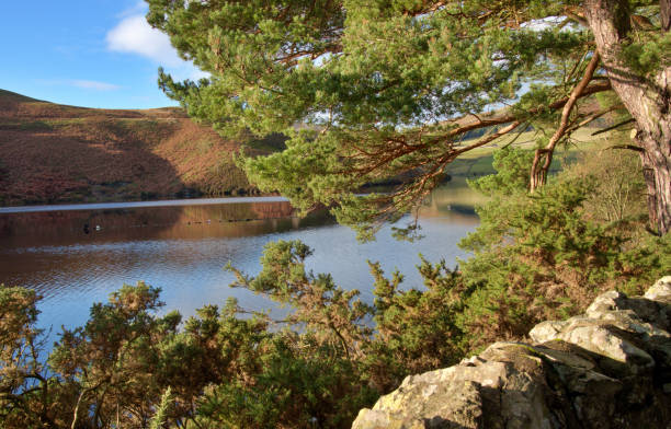 istock Lake in Pentlands 1445265687