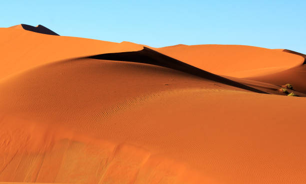 istock Beautiful Orange Snd dune with rippled sand against a pale blue sky 1445269387